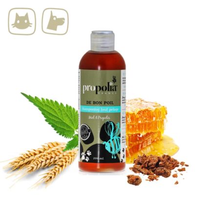 Animal shampoo with propolis and honey - Lekkerhoning.nl