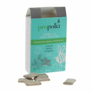 Chewing gum propolis peppermint