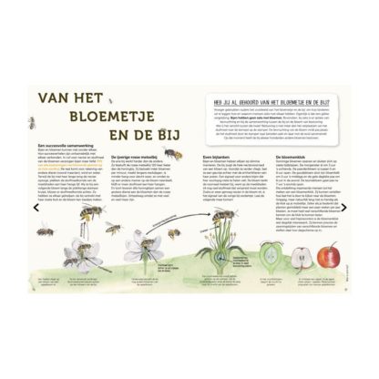 HANDBOEK VOOR BIJENFANS door Gerard Sonnemans - LEKKERHONING.NL