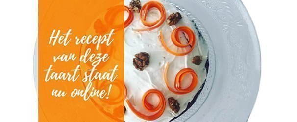 Healthy carrot cake with honey Lekkerhoning