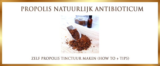 Making Propolis Tincture | Necessities + Step-by-step plan (DIY)