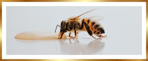 honing en hooikoorts artikel