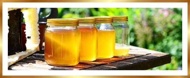 Wat is honing, hoe maken bijen honing en waarom